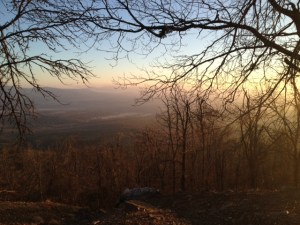 Losing a loved one can leave you feeling lonely and isolated as you learn to live with the loss.