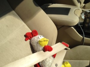 Sharkey was a good travel companion. He was quiet. Well, he was quiet most of the way.