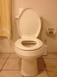 There are some things I just don't want to see in the toilet, and waterbending is one of those.