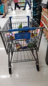 Gaze upon the BEST BUGGY in the world and despair. You can almost see the passing customers averting their eyes.