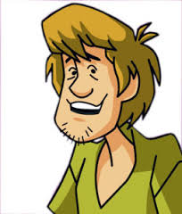 shaggy